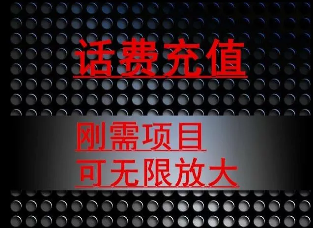 最新蓝海项目，刚需赛道，95折充话费月入5位数