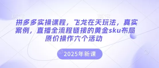 拼多多实操课程，飞龙在天玩法，真实案例，直播全流程链接的黄金sku布局原价操作六个活动