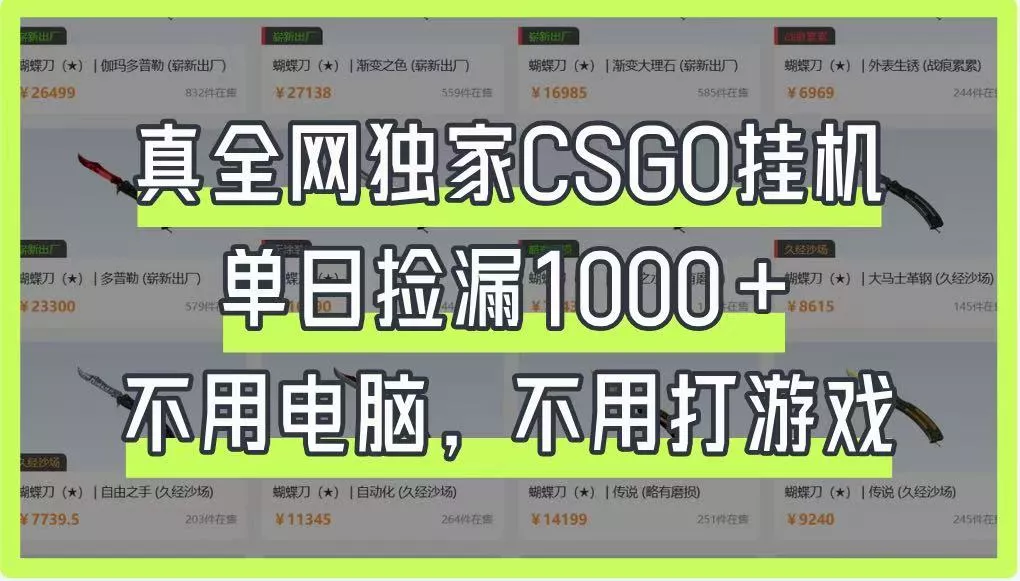 真全网独家CSGO挂机，单日捡漏1000+，不用电脑，不用养号