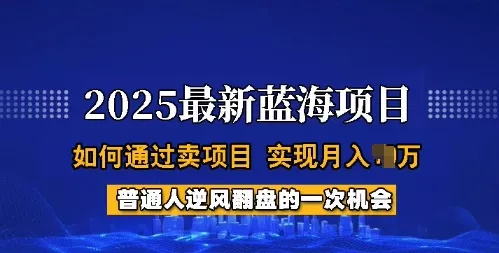 2025蓝海项目，普通人如何通过卖项目，实现月入过W，全过程【揭秘】