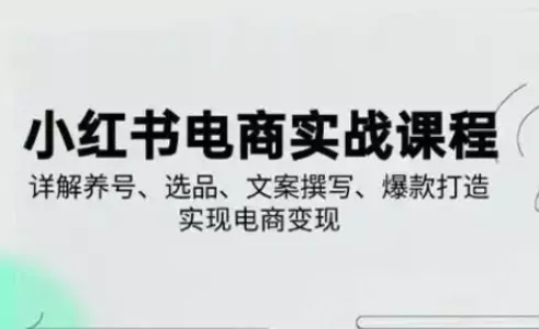 小红书从0-1实操课(2023-2025)，详解养号、选品、文案撰写、爆款打造实现电商变现