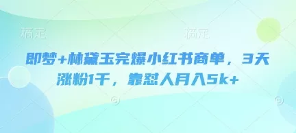 即梦+林黛玉完爆小红书商单，3天涨粉1千，靠怼人月入5k+