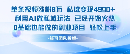 单条视频私域变现4.9k+利用AI做私域玩法 已经开始火热0基础也能做的副业项目轻松上手-大叔网创联盟